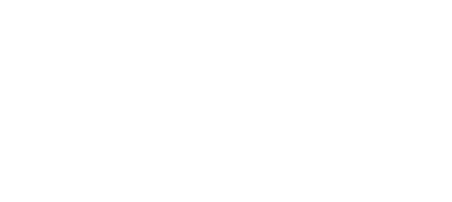 Logo Dustcon 150 Transparent-02